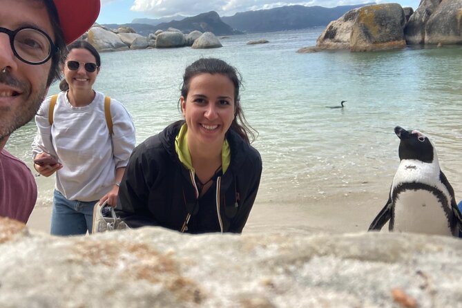Cape Town: Peninsula, Cape of Good Hope and Penguins Tour - The guide makes the biggest difference