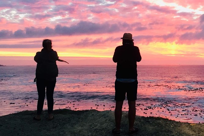 Cape Town Peninsula Day Tour ( Cape Point/Boulders/Wine Tasting) - Why this Cape Peninsula route works in one day