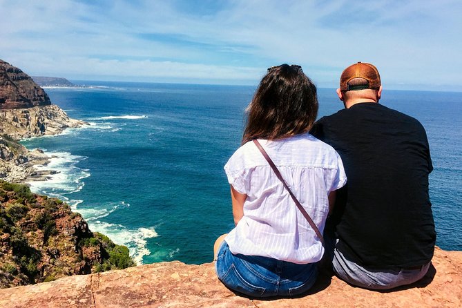 Cape Town Peninsula Day Tour ( Cape Point/Boulders/Wine Tasting) - What the guide adds beyond transport