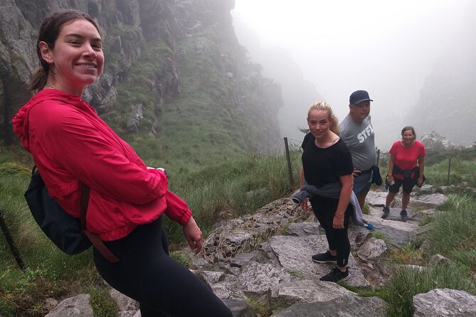Cape Town: Platteklip Gorge Half-Day Hike on Table Mountain - Flora, fauna, and the value of a guide