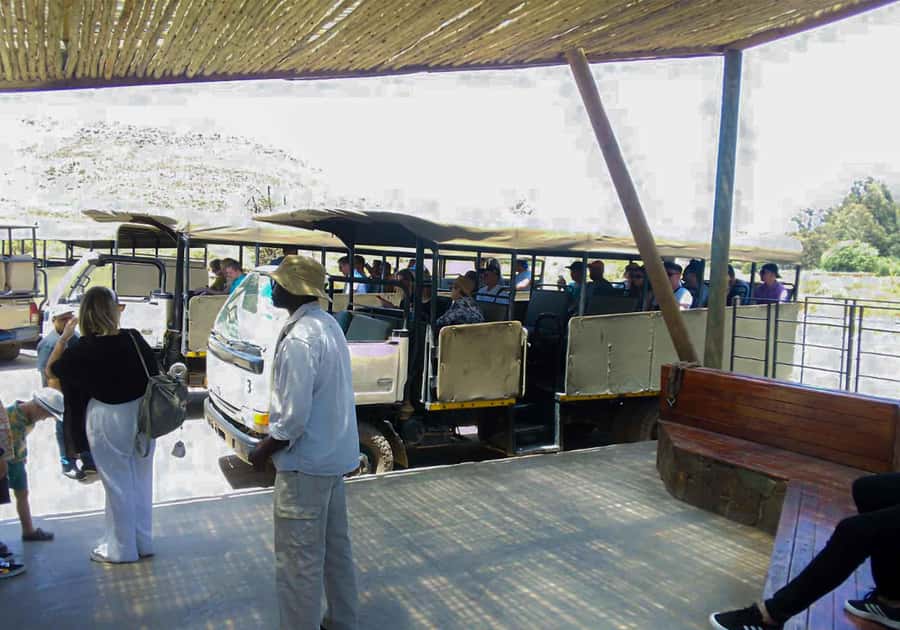 Cape Town: Private Aquila Reserve Safari with Winery Lunch - The long road from Cape Town to Aquila