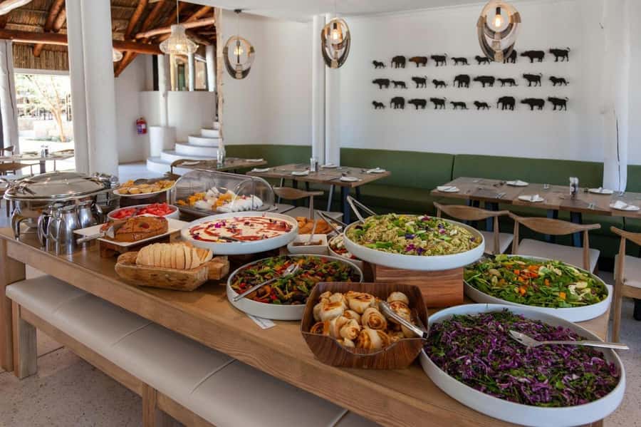 Cape town: Private Full-day Big 5 Aquila Game Reserve Tour - Practical tips for a smoother day