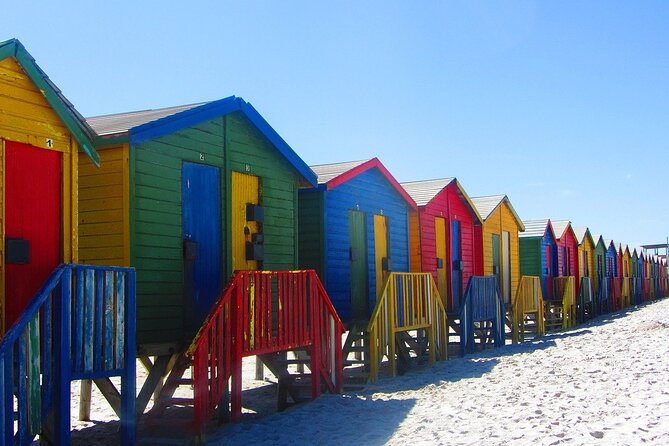 Cape Town Private Group Tour to Cape of Good Hope and Boulders Penguins Colony - Chapman’s Peak Drive and Hout Bay choices