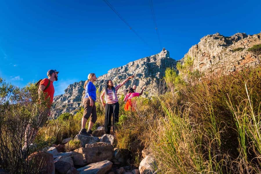 Cape Town Private Guided Table Mountain Hikes - Choosing Between Platteklip, India Venster, and Skeleton Gorge