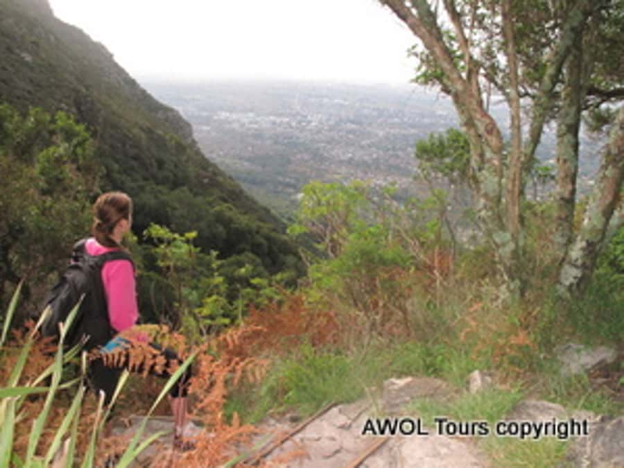 Cape Town Private Guided Table Mountain Hikes - Is the $294 Price Fair?