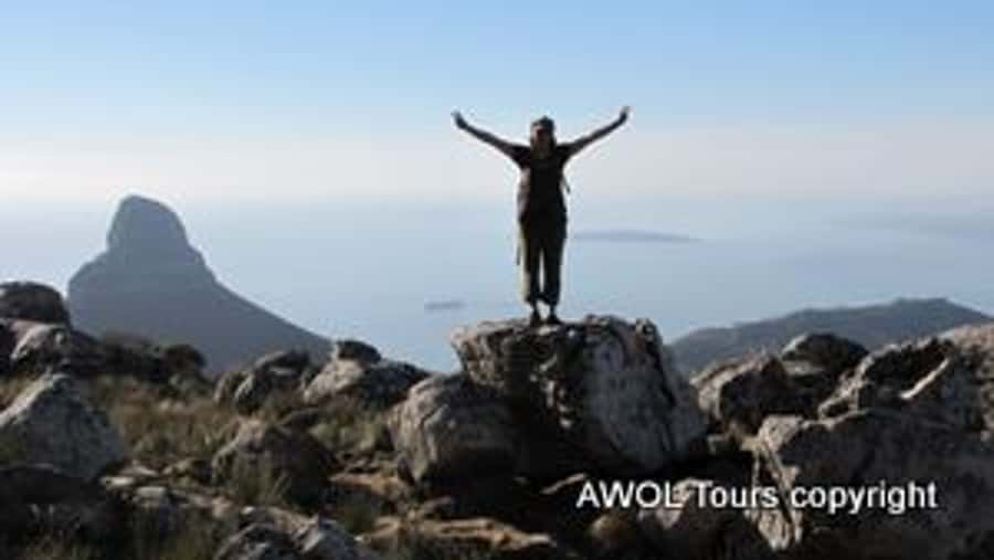 Cape Town Private Guided Table Mountain Hikes - Who Will Get the Most From This Hike?