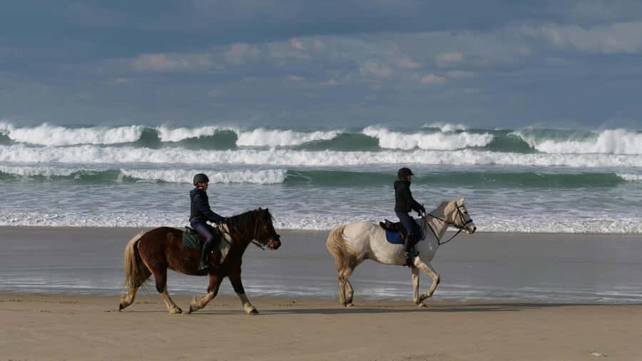 Cape Town: Private Tour with Customizable Itinerary - Cape Point and the Cape of Good Hope