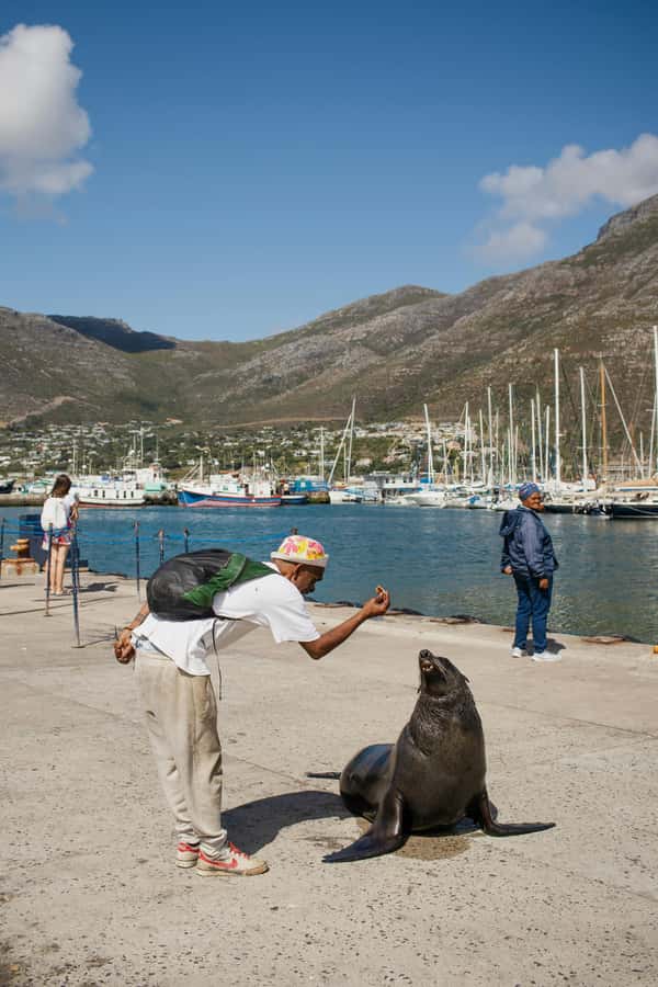 Cape Town: Private Tour with Customizable Itinerary - Family options and garden time