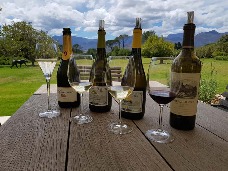 Cape Town: Private Wine Tour - Starting at Groot Constantia, South Africa’s oldest winery