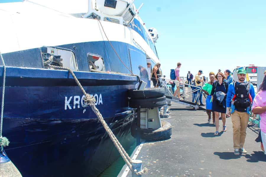Cape Town: Robben Island ferry ticket plus Guided Tour - Why Robben Island Still Matters
