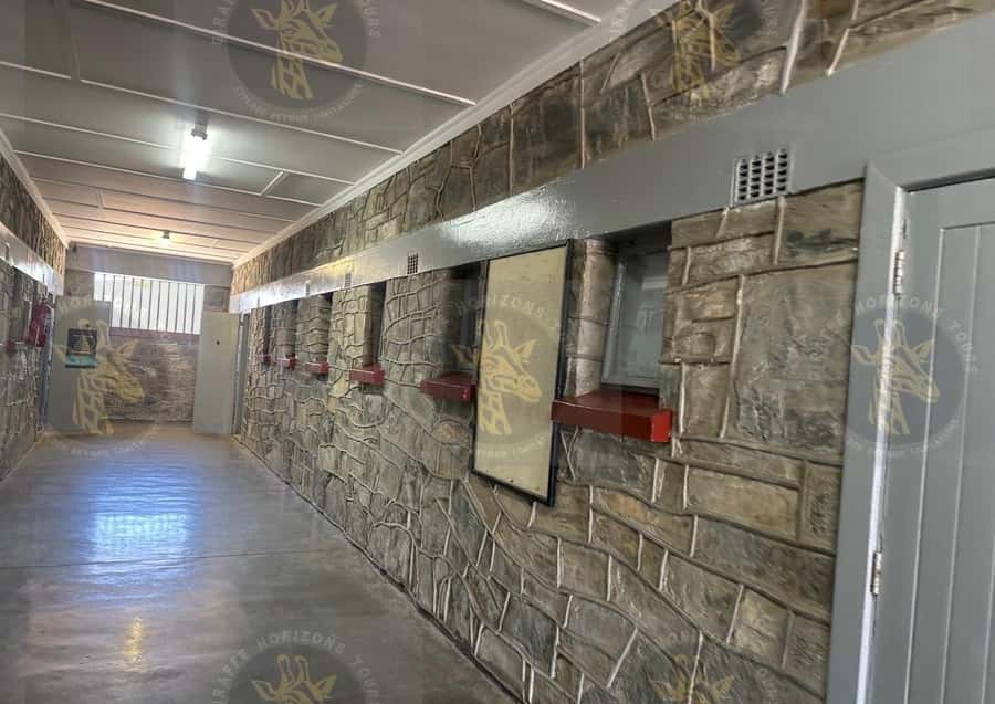 Cape Town: Robben Island Ferry with Prison Ticket and Tour - Key points to know before you go