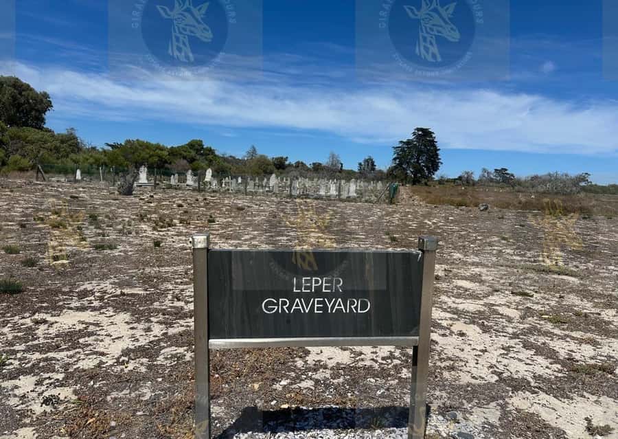 Cape Town: Robben Island Ferry with Prison Ticket and Tour - The bus tour beyond Mandela’s cell