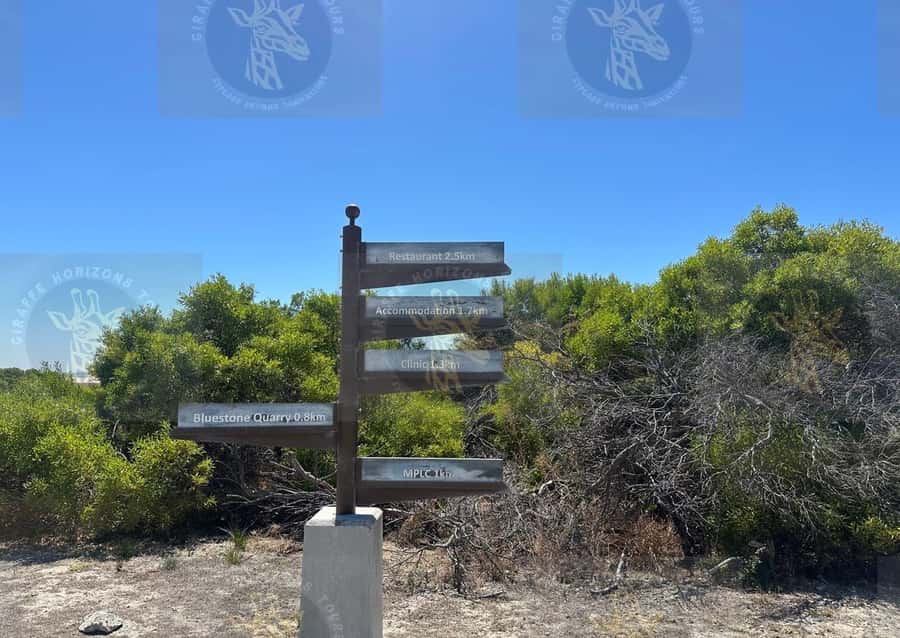 Cape Town: Robben Island Ferry with Prison Ticket and Tour - The return ferry and the timing problem