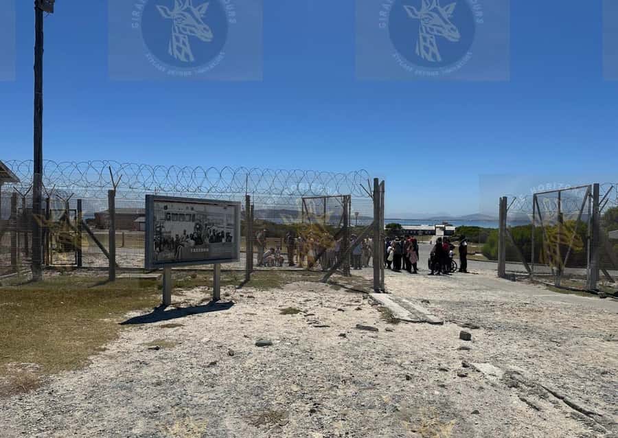 Cape Town: Robben Island Ferry with Prison Ticket and Tour - Should you book it?