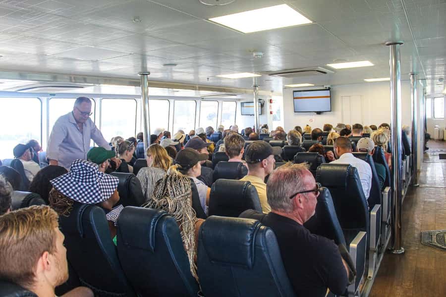 Cape Town:Robben Island Guided Tour, Skip the Ticketing Line - First sights on Robben Island