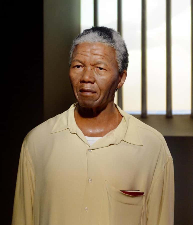 Cape Town: Robben Island Half-Day Tour with Entry Tickets - The 31 Drop-Off Options Around Cape Town