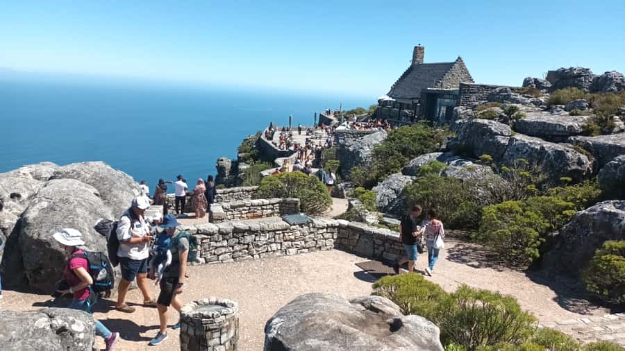 Cape Town: Robben Island plus Table Mountain Tickets - Returning to the waterfront and changing the plan