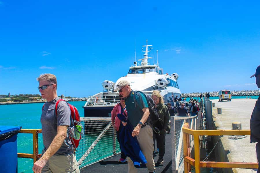 Cape Town: Robben Island plus Table Mountain Tickets - What the guide service adds