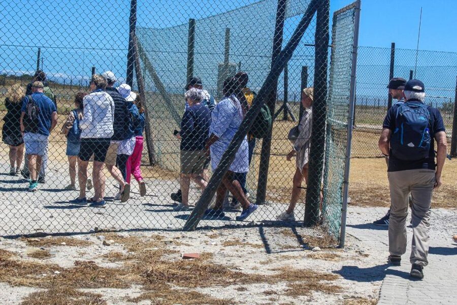 Cape Town: Robben Island plus Table Mountain Tickets - Timing, cost, and who gets the best value