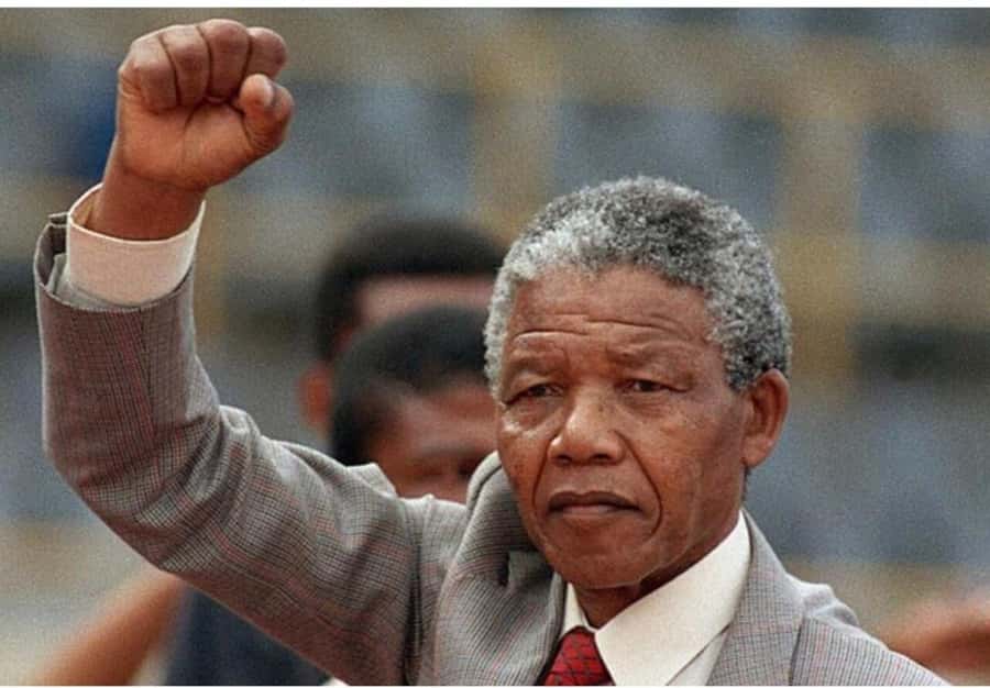 Cape Town: Robben Island Tour Tickets and V&A Waterfront - Key points to know before booking