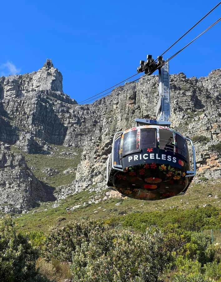 Cape Town: Robben Island Tour Tickets and V&A Waterfront - Should you book it?