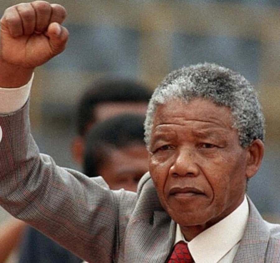 Cape Town: Robben Island Tour Tickets and V&A Waterfront - A former political prisoner leads the island visit