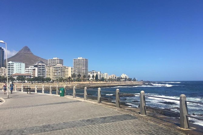 Cape Town's Finest City Bike Tour - A calm break at Company’s Garden