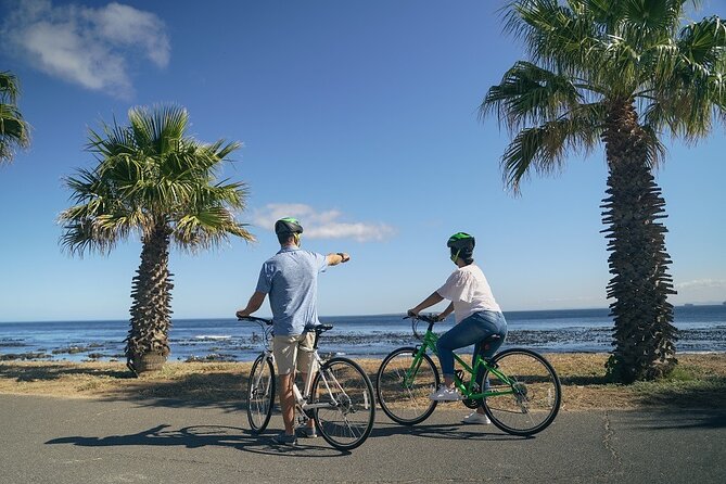 Cape Town's Finest City Bike Tour - Finishing at the V&A Waterfront