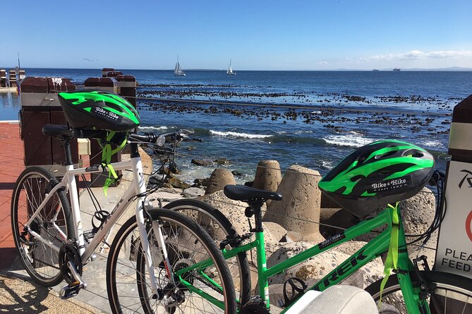 Cape Town's Finest City Bike Tour - Green Point Park and DHL Stadium
