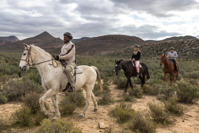 Cape Town Safari Big 5 experience all inclusive - Who will get the most from this safari?
