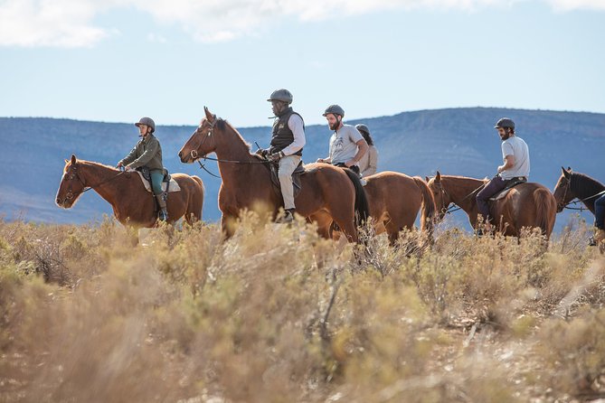 Cape Town Safari Big 5 experience all inclusive - A 2.5-hour game drive in the reserve