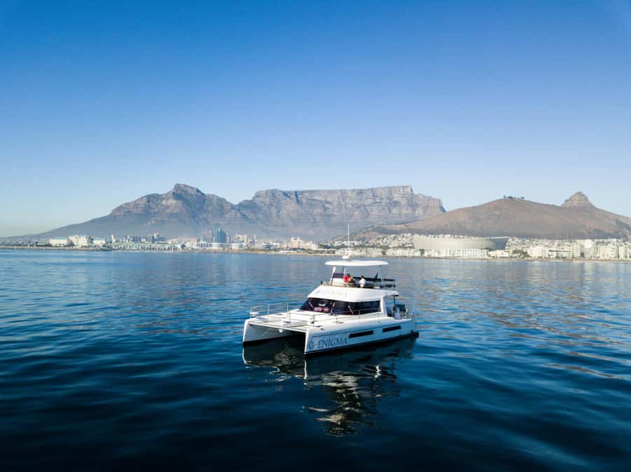 Cape Town: Scenic 1-Hour Coastal Catamaran Cruise - Key points to know before you board