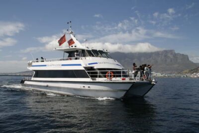 Scenic 1-Hour Coastal Catamaran Cruise