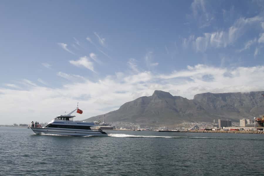 Cape Town: Scenic 1-Hour Coastal Catamaran Cruise - Best for couples, families, and first-time visitors