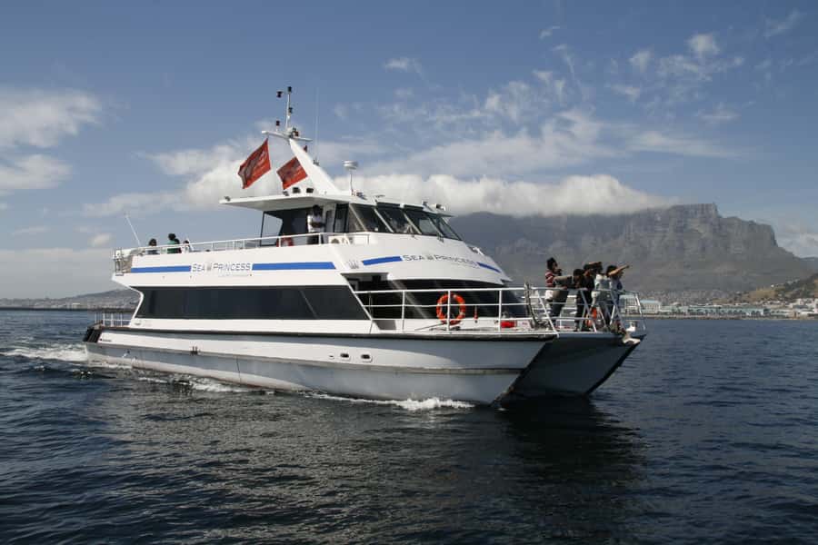 Cape Town: Scenic 1-Hour Coastal Catamaran Cruise - From the harbor to the open Atlantic