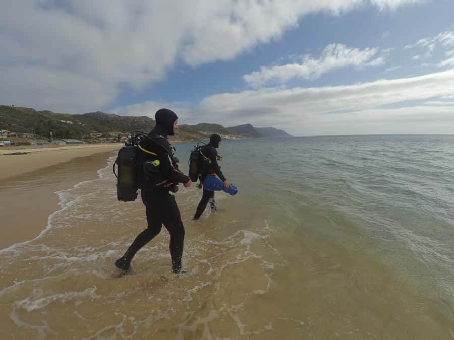 Cape Town: Scuba Diving Experience for Beginners - Why Simon’s Town is a smart place for a first underwater session