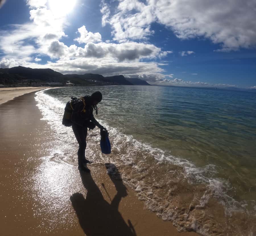 Cape Town: Scuba Diving Experience for Beginners - The 45-minute briefing is the part beginners should value most