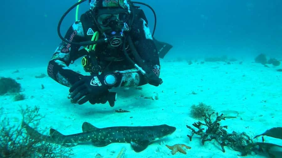 Cape Town: Scuba Diving Experience for Beginners - What the $112 price includes