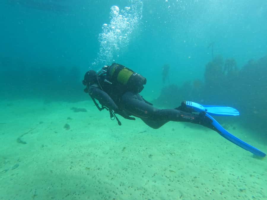 Cape Town: Scuba Diving Experience for Beginners - Who will enjoy this, and who should skip it