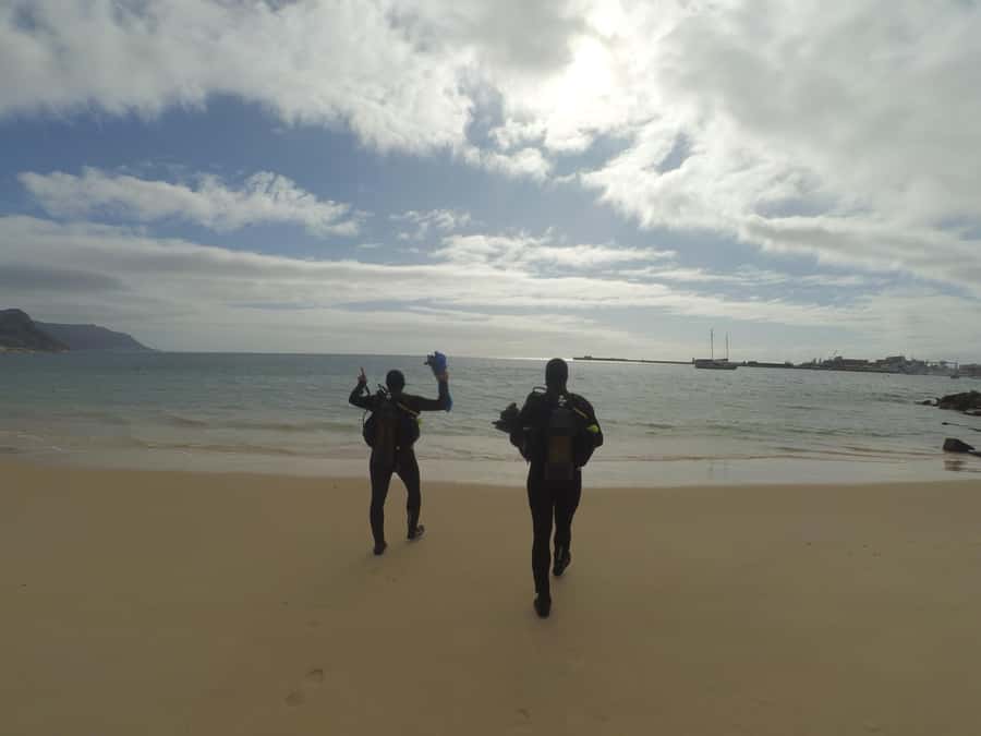 Cape Town: Scuba Diving Experience for Beginners - Meeting Just Nuisance and getting ready