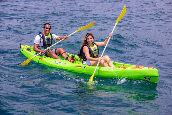 Cape Town Sea Kayaking Adventure launching from V&A Waterfront - Looking for seals, dolphins, penguins, and sunfish