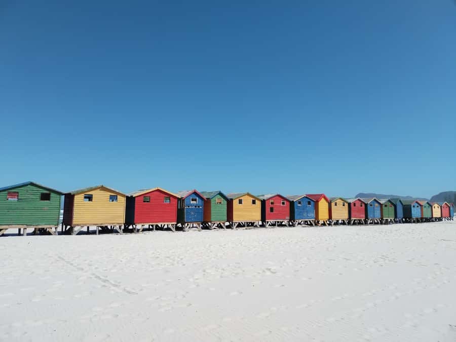 Cape Town: Seal Island, Cape of Good Hope& Penguins Private - Chapman’s Peak Drive and Noordhoek