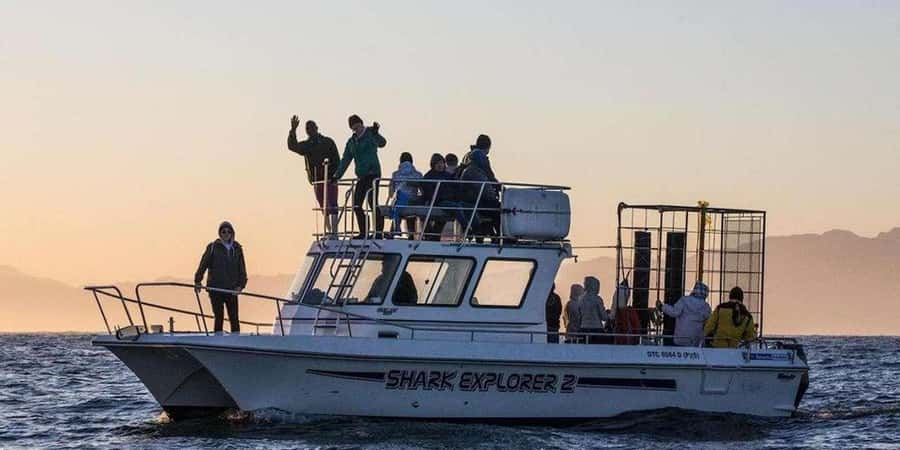 Cape Town: Shark Cage Diving Tour (with Breakfast & Lunch) - The Long Road From Cape Town to Gansbaai