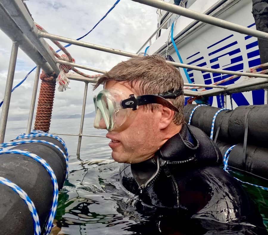 Cape Town: Shark Cage Diving with Snacks and Soft Drinks - From 62 St George’s St to the harbor