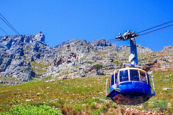Cape Town Shore Tour: Table Mountain, Penguin & Cape Point - A full Cape Town day from Bo-Kaap to Cape Point