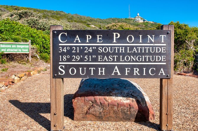 Cape Town Shore Tour: Table Mountain, Penguin & Cape Point - Simon’s Town: naval views and a local character