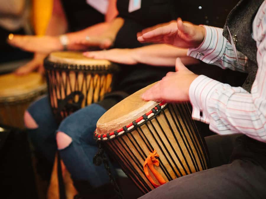 Cape Town: Silvermist Estate Wine Tasting & Drumstruck Show - Key points to know before booking