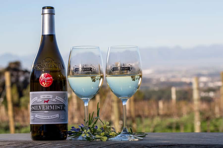 Cape Town: Silvermist Estate Wine Tasting & Drumstruck Show - Who will get the most from this experience