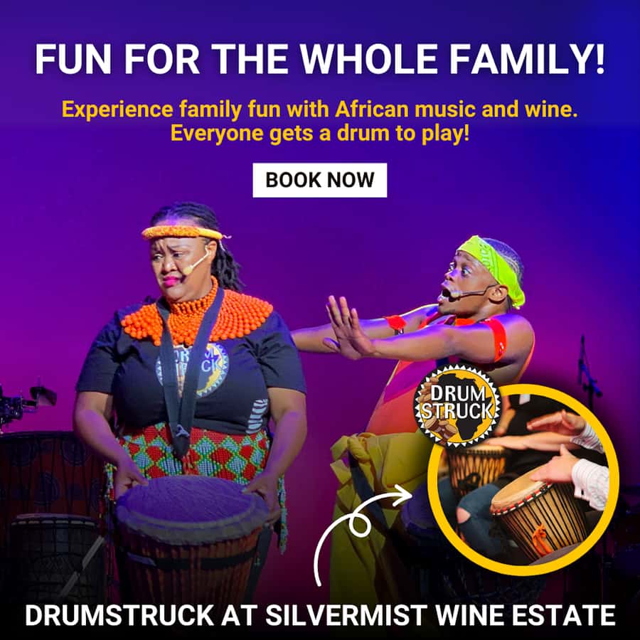 Cape Town: Silvermist Estate Wine Tasting & Drumstruck Show - Value at $28 per person