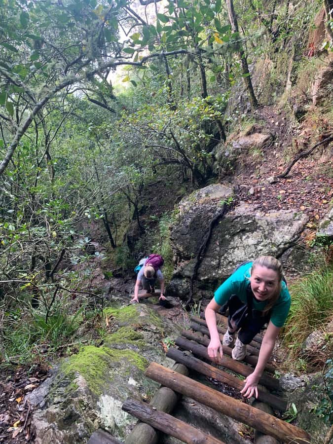 Cape Town: Skeleton Gorge and Kirstenbosch Gardens Hike - Starting among Kirstenbosch’s fynbos